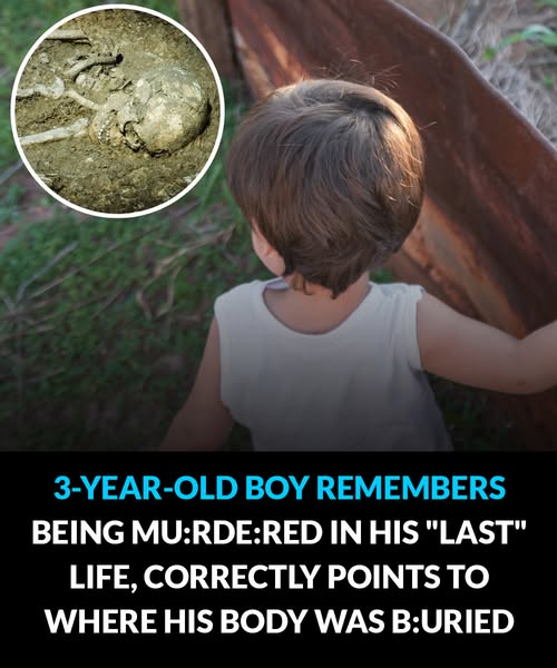 3-Year-Old Boy Remembers Being M-urdered In His “Last” Life, Correctly Points To…