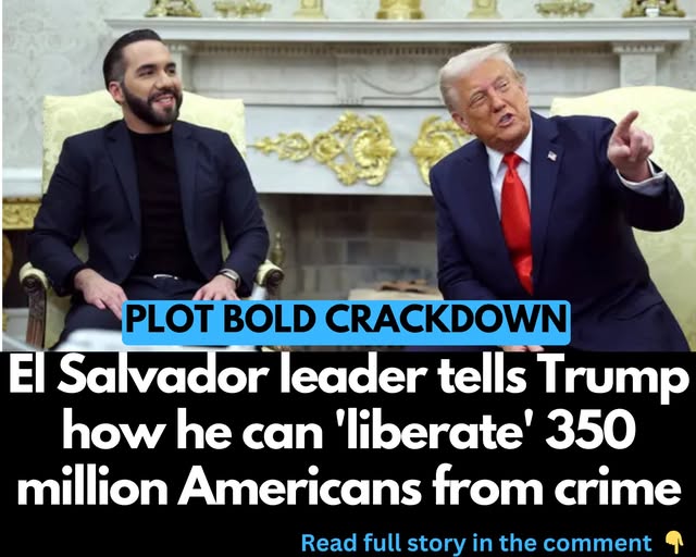 El Salvador leader tells Trump how he can ‘liberate’ 350 million Americans from crime and terrorism