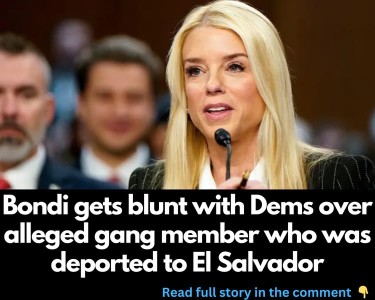 Bondi gets blunt with Dems over alleged gang member who was deported to El Salvador