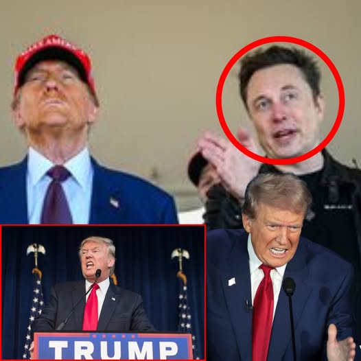 Elon Musk Dug Up Trump’s Old Tweets to Use His Own Words Against Him. Things Escalated Quickly