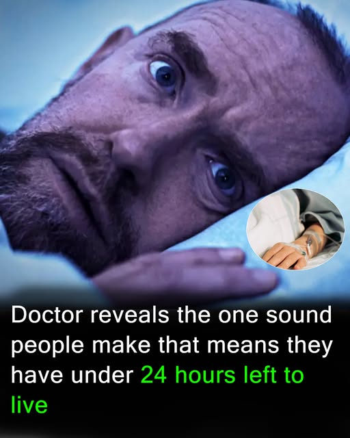 Chilling sound signals death is less than one day away