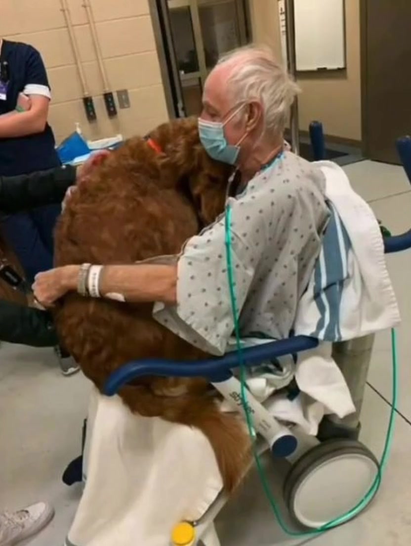 The Patient’s Plea for “Murphy”—A Name That Puzzled Everyone