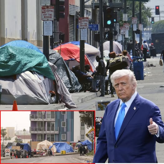 Trump Executive Order Removes Homeless From Streets