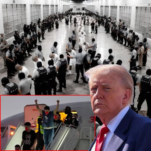 Man Plans To Sue Trump Administration For Sending Him To El Salvador Prison