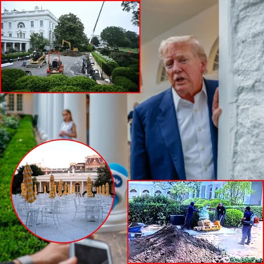 Trump Shares Security Footage of Contractors Who Allegedly Damaged Rose Garden Limestone
