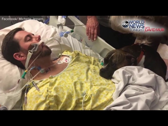 Dog Visits Hospital To Say Goodbye to Owner!!