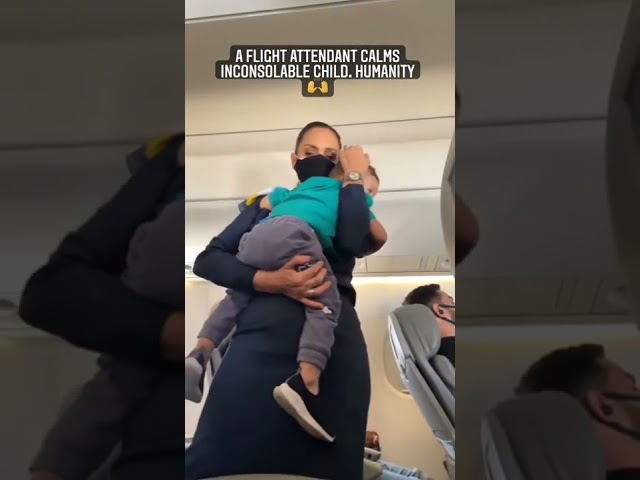 Viral video of flight attendant consoling crying toddler onboard is a hit on the Internet. Watch